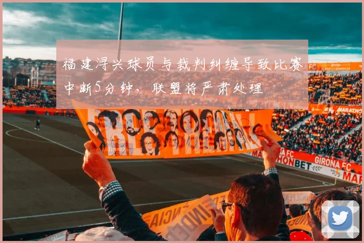 福建浔兴球员与裁判纠缠导致比赛中断5分钟，联盟将严肃处理