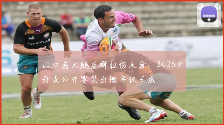 山口茜大腿后群拉伤未愈,2026年丹麦公开赛复出概率仅五成